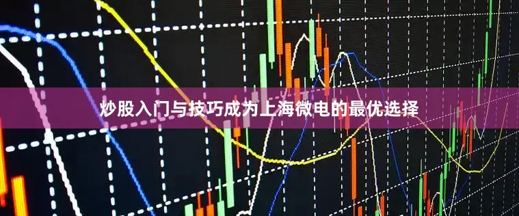 炒股入门与技巧成为上海微电的最优选择