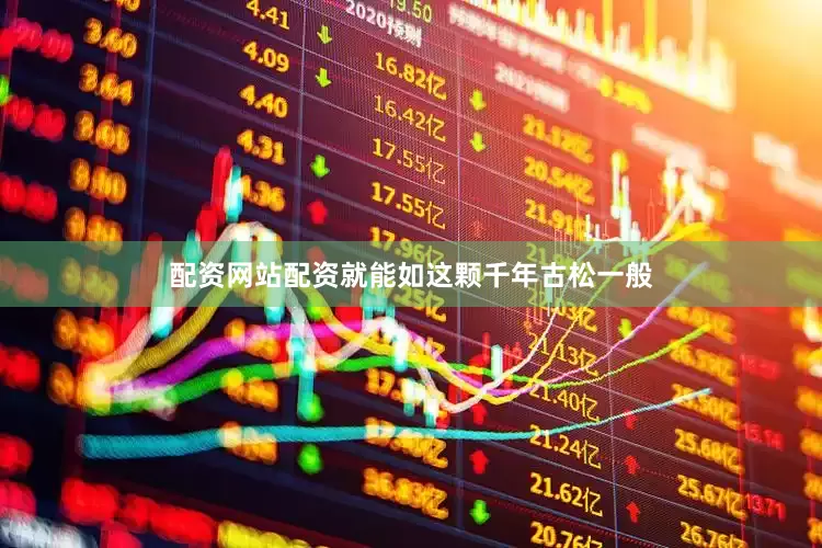 配资网站配资就能如这颗千年古松一般